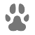 Pet_icon